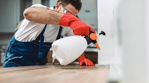 Best Pest Control for Multi-Family Homes  in Leisure Village East, NJ